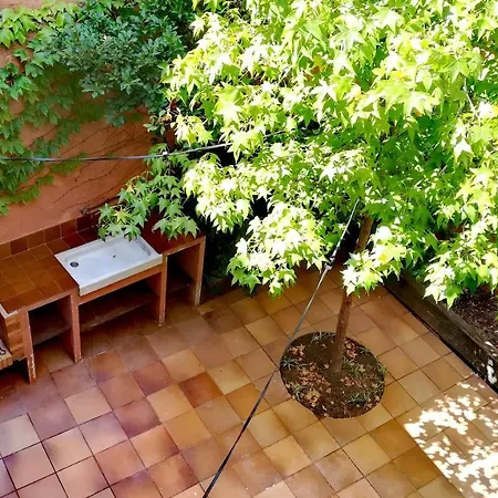 Guest house Moll House, The Palamos